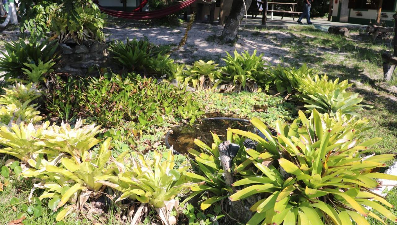 Nosso Chale Na Ilha Hotel Cananéia Buitenkant foto